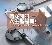 研发能力标题一